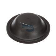 Diaphragm
