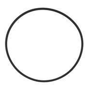 Seal (AT)
