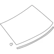 Back Glass Window - Rear,