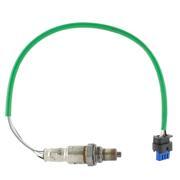 Exhaust Gas Oxygen Sensor - Rear, Lower