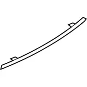 Bumper Trim Panel Applique - Rear
