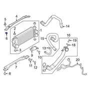 Charge Air Cooler Nut Floor Pan Heat Shield - M8, Front
