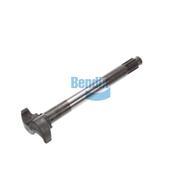 Camshaft