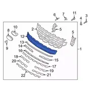 Grille Molding Insert - Front
