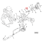 3917868 Image1