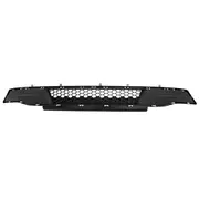 Bumper Grille - Front