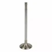 Valve Exhaust - 5.0L