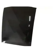 Roof Panel Glass