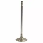 Intake Valve - Inlet 5.0L
