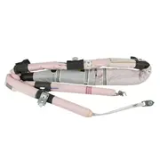 Curtain Air Bag - Right, Center