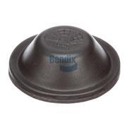 Diaphragm