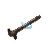 Camshaft