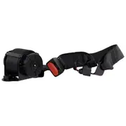 Seat Belt Lap and Shoulder - Rear, Center