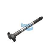 Camshaft