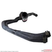 Radiator Coolant Hose - Lower, Outlet