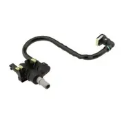 Evaporative Emissions System Lines Connecting Hose - 3.0L