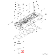 4365061 Image1