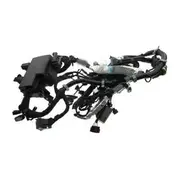 Wiring - 5.0L