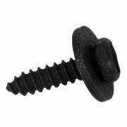 Self Tapping Screw