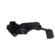 Pedal and Bracket AS (AT)