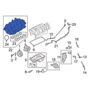 Engine Intake Manifold - Inlet 5.0L