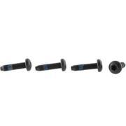Door Lock Striker Plate Bolt