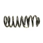Coil Spring - Front, Rear