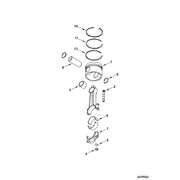 3803447 Image1