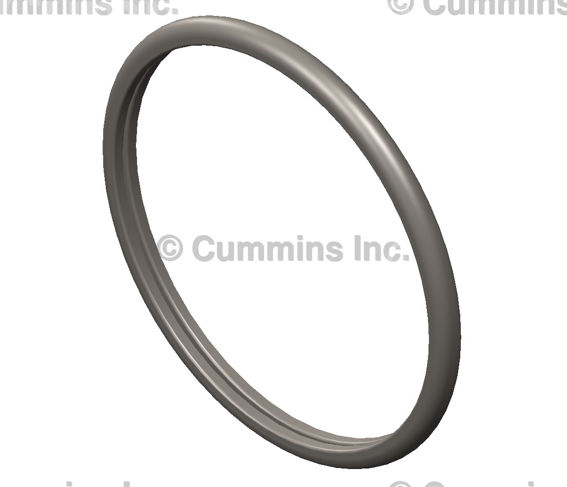 3942454 | Cummins® | d Ring Seal | Source One Parts Center