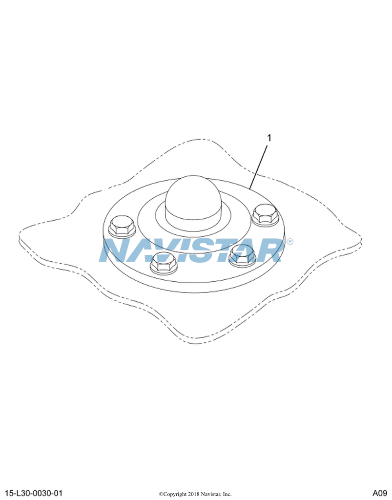2588137C91 | Navistar International® | KIT FUEL SENDER NUT