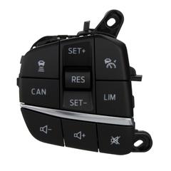 Cruise Control Switch Combination - Left