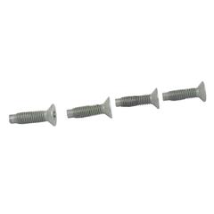 Door Lock Striker Plate Bolt