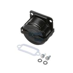 Strainer Assembly