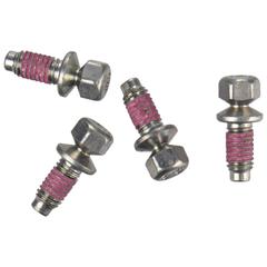 Bolt - M6 X 11MM 5.0L