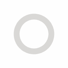 Sealing Ring