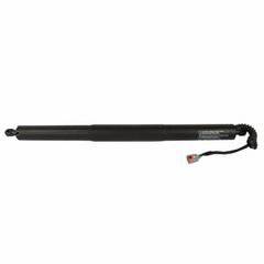 Tailgate Lift Motor Drive Pull Down - Left