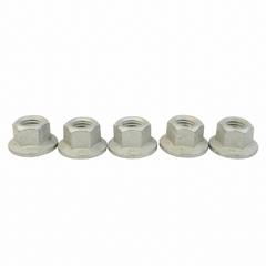 Nut Adjusting Screw Hex Flange Lock PT - M14 x 2 (GT)