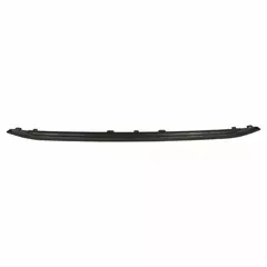 Grille Molding - Front