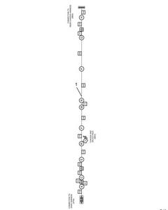 Figure 2506256C93