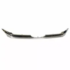 Grille Molding - Front