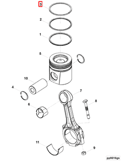 3919918 Image1