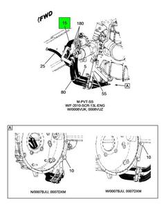 Figure 1F1WS