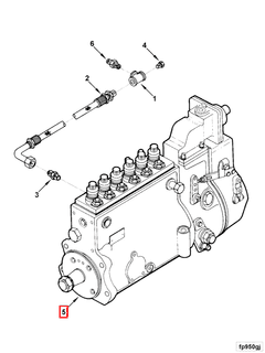 3924903 Image1