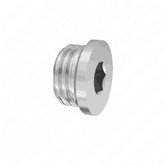 Screw Plug