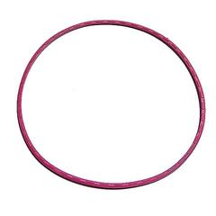 Camshaft Thrust Plate Seal, S60 14L DDEC IV