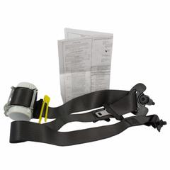 Seat Belt Lap and Shoulder - Right, Rear