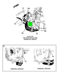 Figure 1F1WS