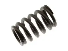 Engine Valve Spring
