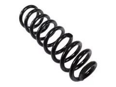 Coil Spring - Rear