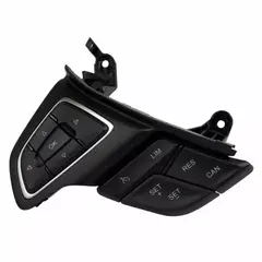 Cruise Control Switch (RS)